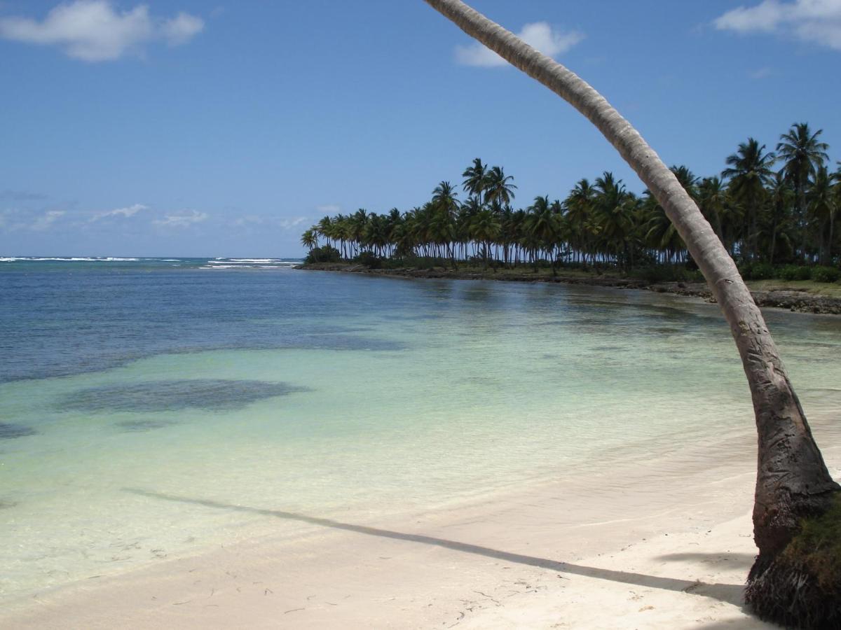 Palm-Covered House In The Tropical -Casa Oli Las Galeras Zewnętrze zdjęcie