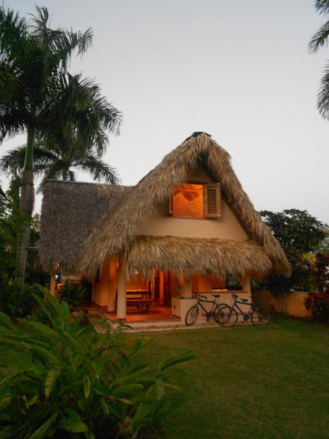 Palm-Covered House In The Tropical -Casa Oli Las Galeras Zewnętrze zdjęcie