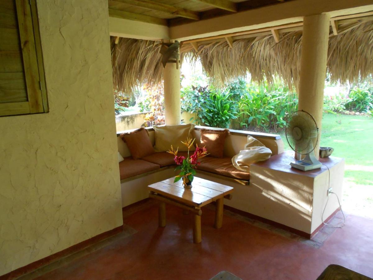 Palm-Covered House In The Tropical -Casa Oli Las Galeras Zewnętrze zdjęcie