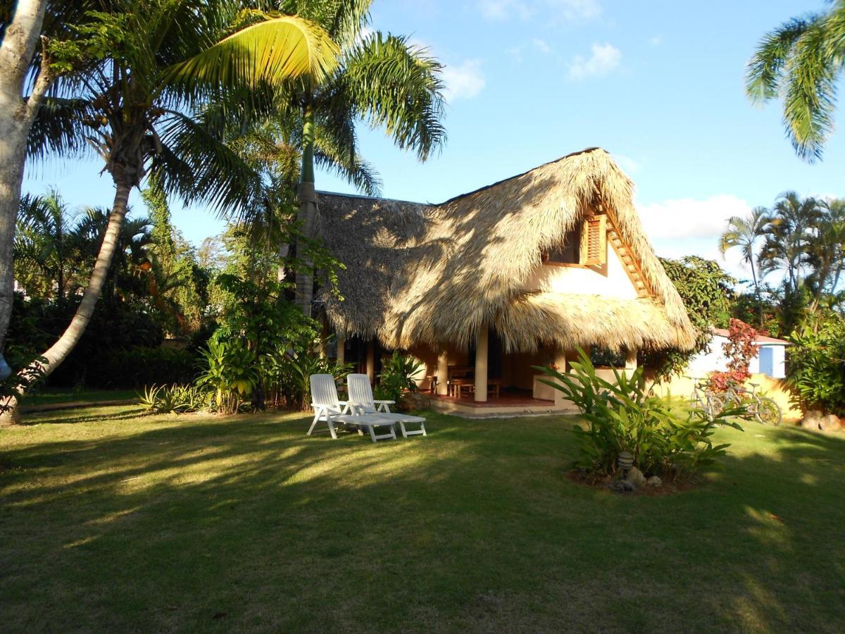 Palm-Covered House In The Tropical -Casa Oli Las Galeras Zewnętrze zdjęcie