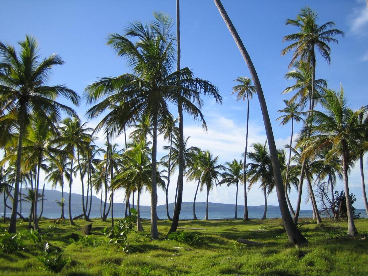 Palm-Covered House In The Tropical -Casa Oli Las Galeras Zewnętrze zdjęcie