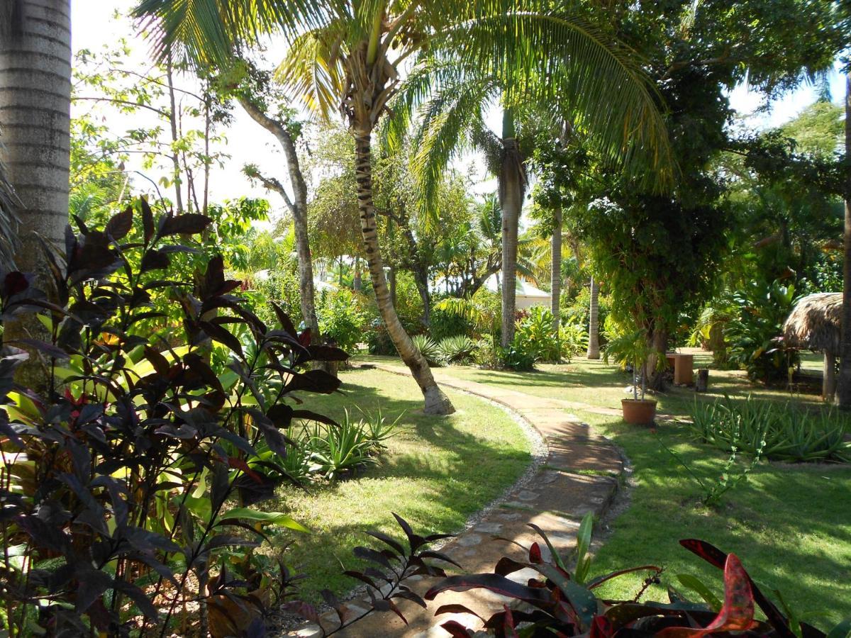 Palm-Covered House In The Tropical -Casa Oli Las Galeras Zewnętrze zdjęcie